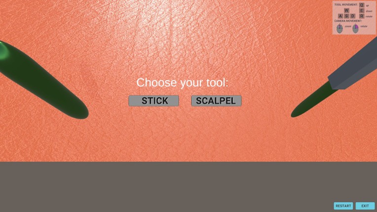 Soft Tissue simulator Image