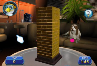 Jenga World Tour Image