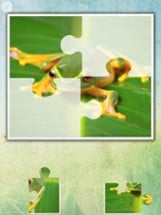 Jungle puzzle - jigsaw puzzle for kids Image