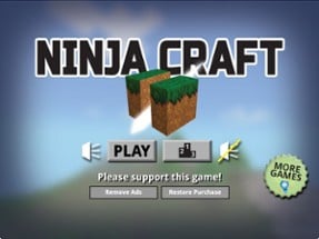 Ninja Craft - Find Gems Game Image