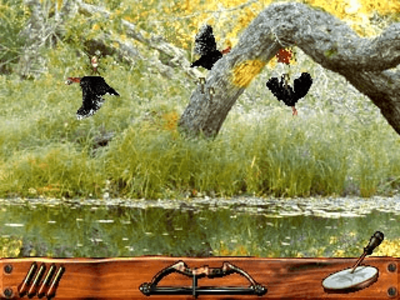 Turkey Hunting USA screenshot