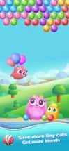 Bubble Cats- Bubble pop game Image