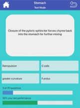 Digestive System Flashcards Image