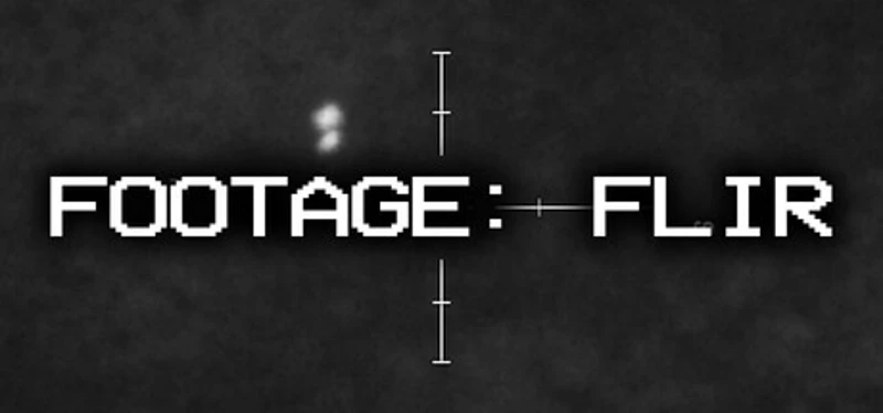 Footage: FLIR Image