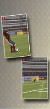 Free kicks 3D football game Image