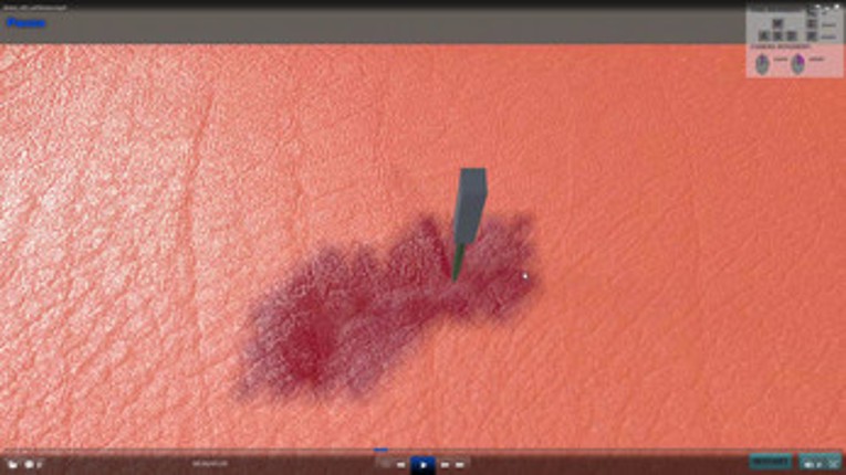 Soft Tissue simulator Image