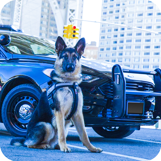 Games like US Police Car Bank Robbery Gangster Chase