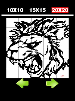 Nonogram 3 Image