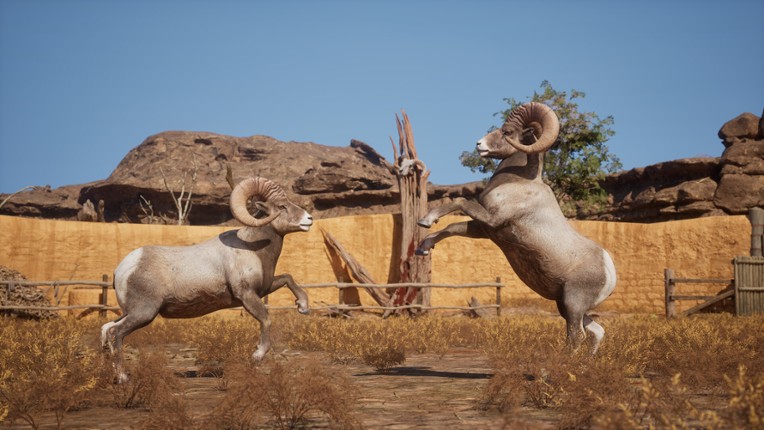 Ram Fights screenshot