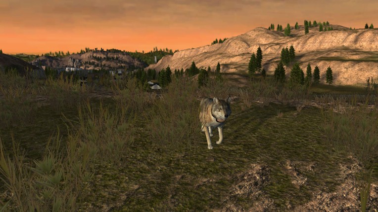 WolfQuest screenshot