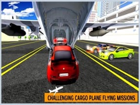 Airplane City Car Transporter Image