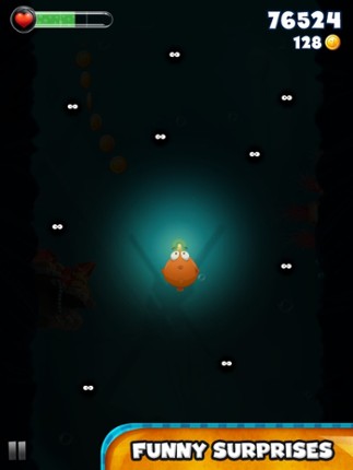 Bellyfish Image