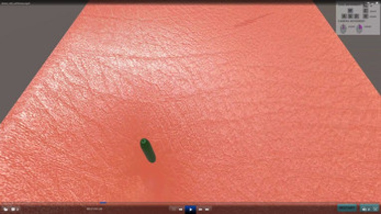 Soft Tissue simulator Image