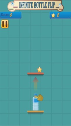 Infinite Bottle Flip Image