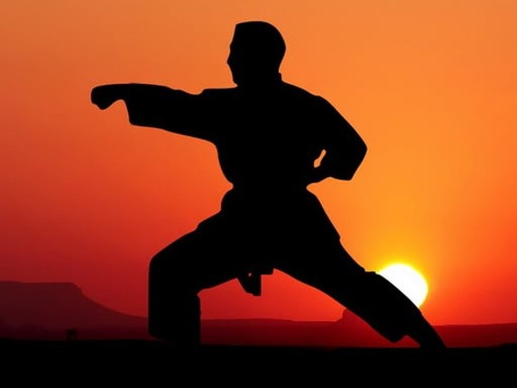 Karate Sunset Warriors Game Cover