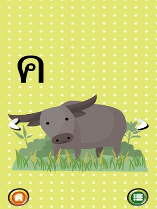 Kor Kai : Baby Learn Thai Alphabet FlashCards! Image