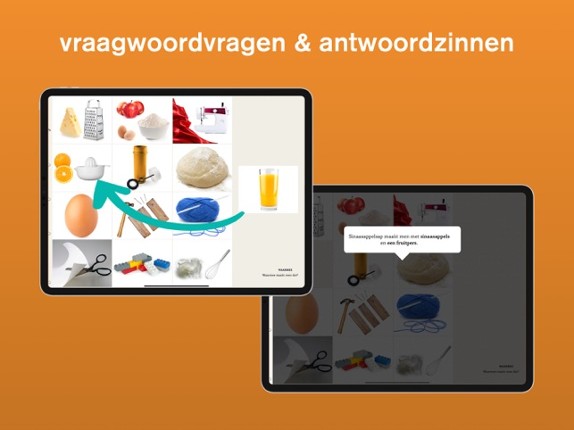 Lexico Vraagbegrip Pro Image