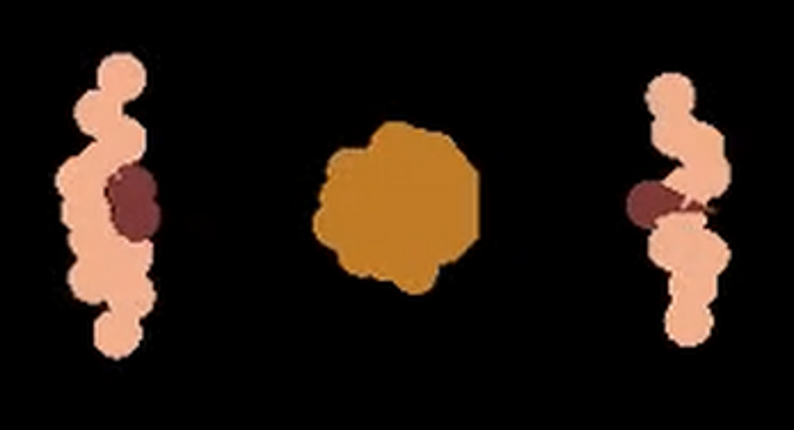 Particle Life Simulator Image
