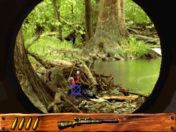 Turkey Hunting USA Image