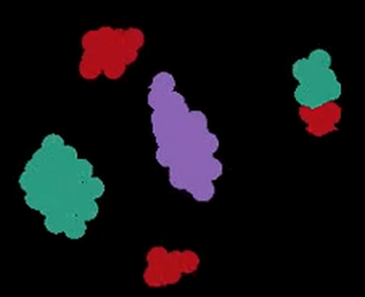 Particle Life Simulator Image