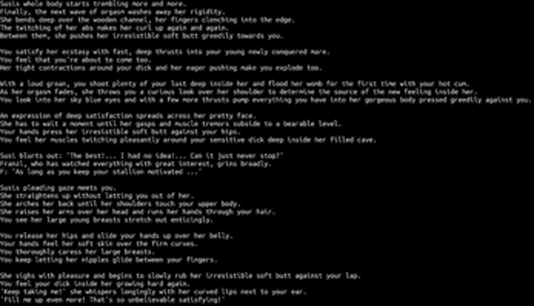 Some Medieval Adventures Image