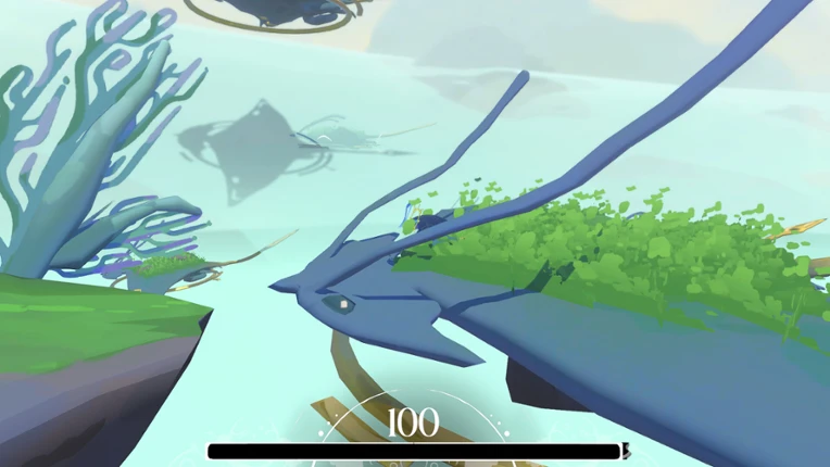 Time Flow Image