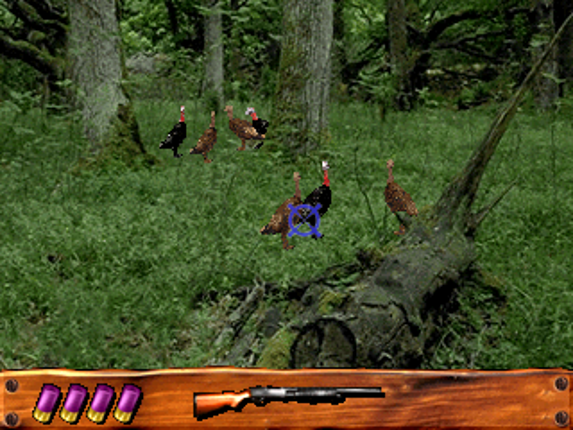 Turkey Hunting USA Image