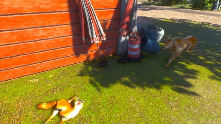 Chill Fox screenshot