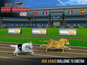 Crazy Dog Racing Fever Image