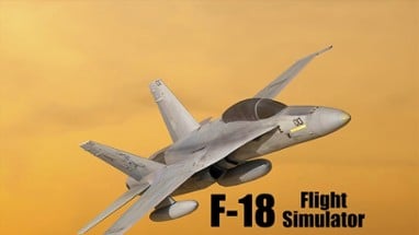 F18 Flight Simulator Image