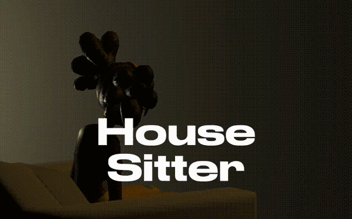 House Sitter Image