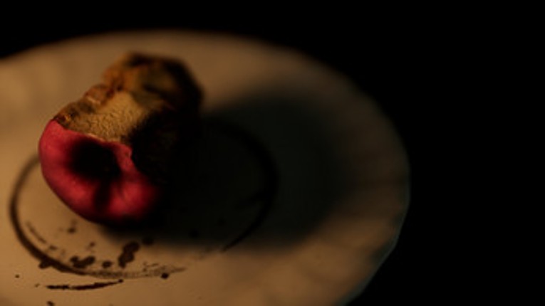Shadow Play's screenshot