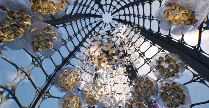 Monarch Cocoon screenshot