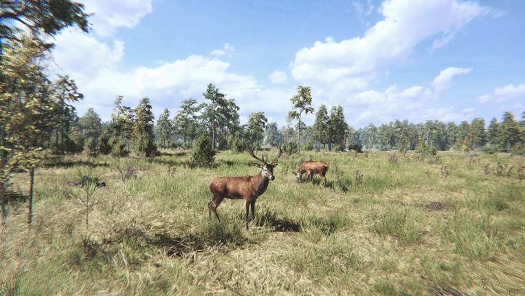 On the Hunt screenshot