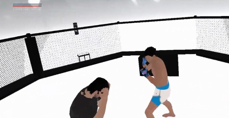 VR BOXING MASTER screenshot