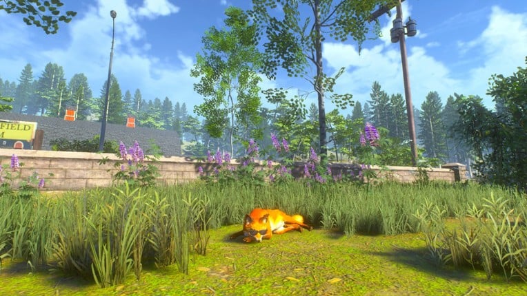 Chill Fox screenshot