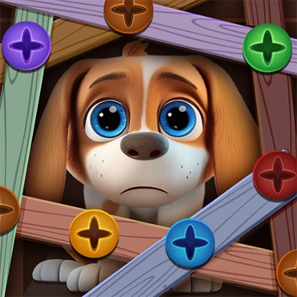Screw Jam Master : Nuts Puzzle Image