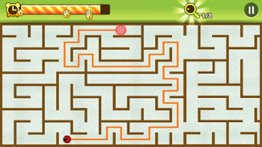 Maze King Image