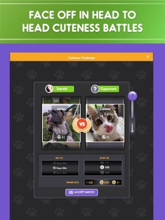 Pet Parade: Cutest Dogs &amp; Cats screenshot