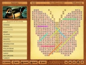 WordSearch HD Premium Image