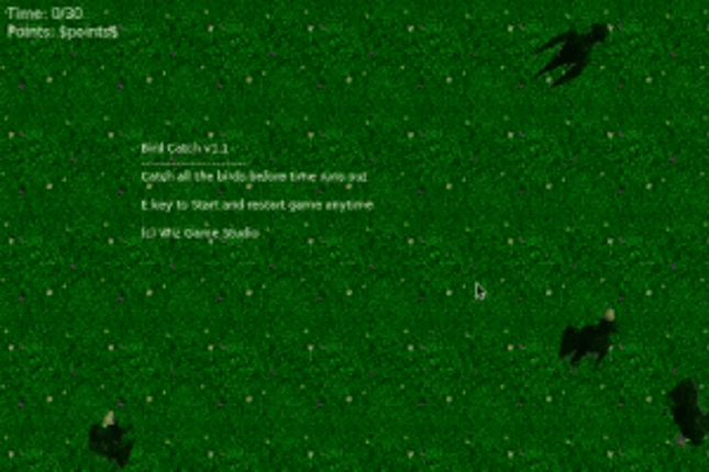 Bird Catch Image