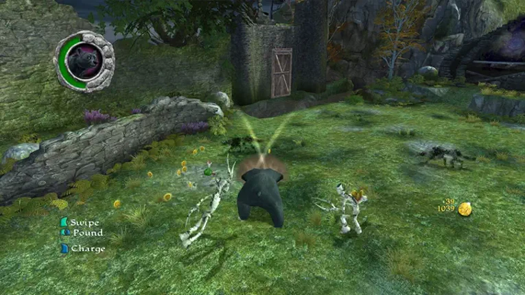 Brave Image