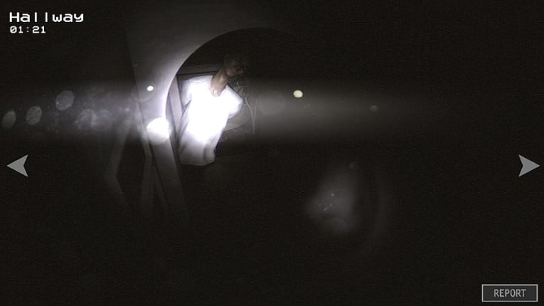 Anomaly Report screenshot