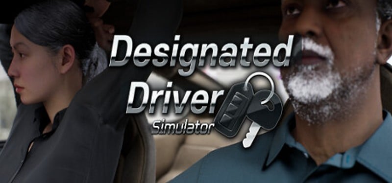 Designated Driver Simulator Image