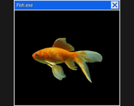 Fish Image