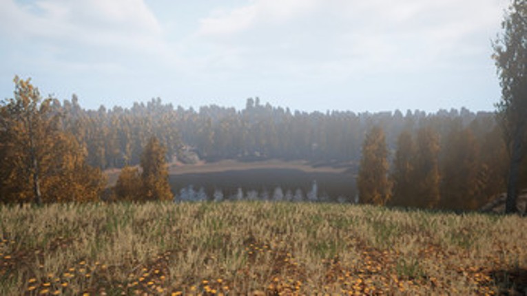 The Dark Beneath The Trees Image