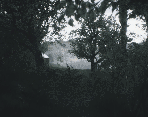 Games like Scenic Forest Valley