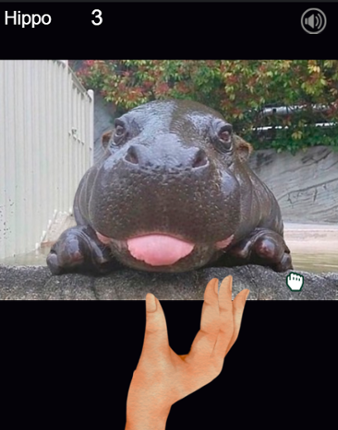 Hippo Moo tongue Image