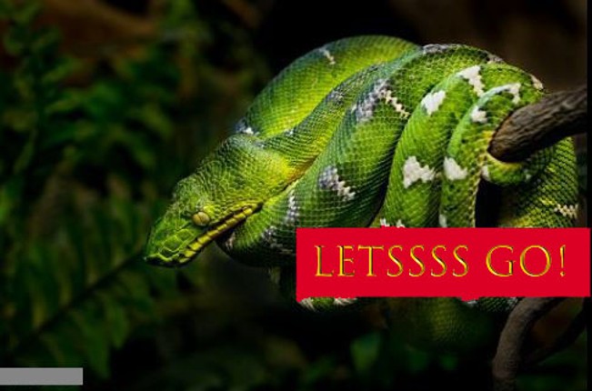 snake dice realissse snake dies Image