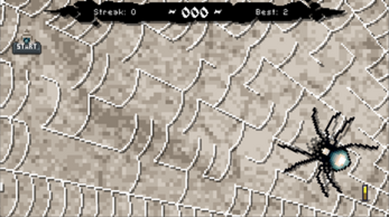 SpiderHeist Image